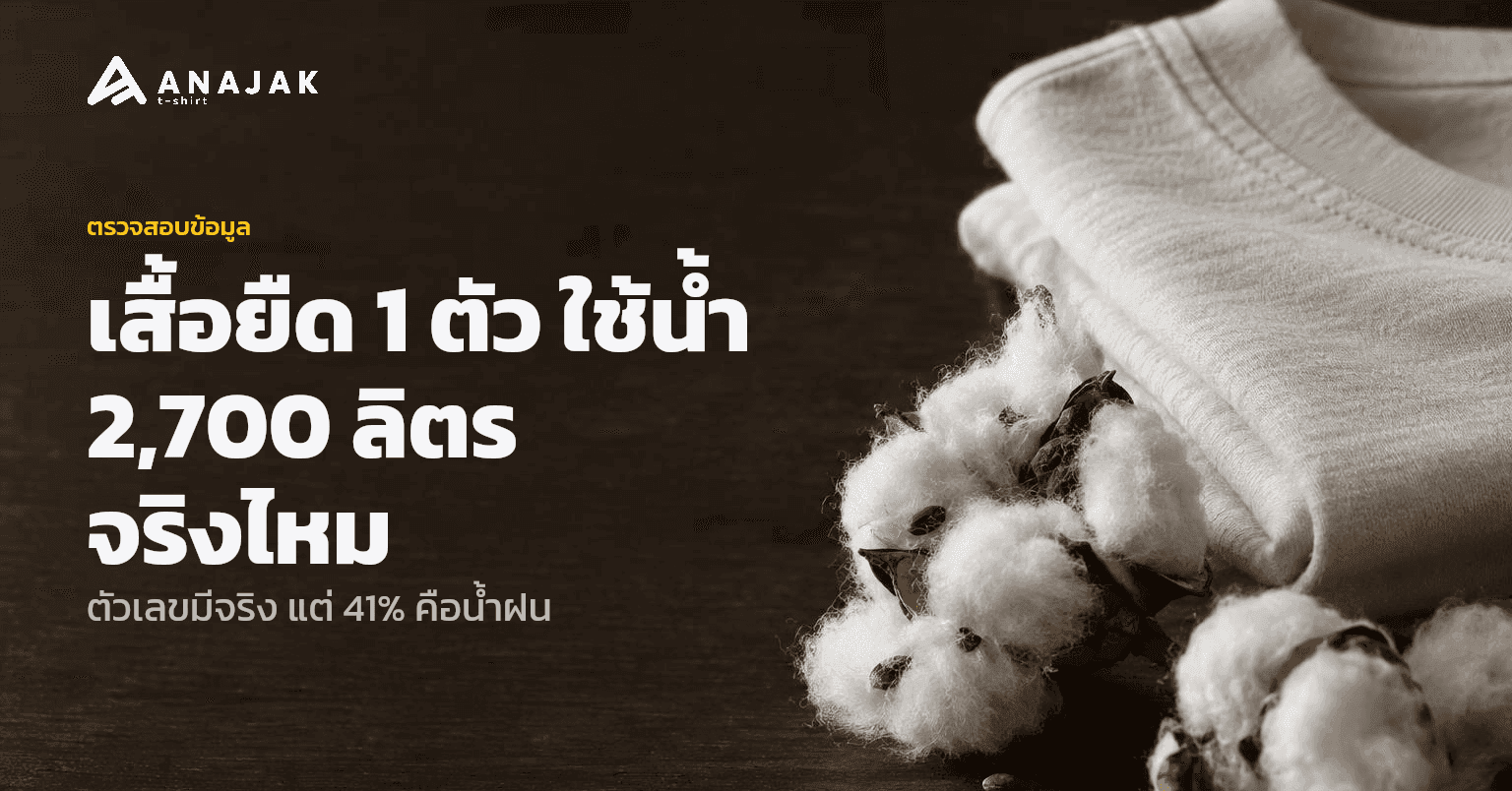 ปุยฝ้ายดิบที่ยังมีเมล็ดติดอยู่ในเส้นใย วางคู่กับเสื้อยืดผ้าคอตตอนสีพื้นที่พับไว้บนพื้นไม้ สื่อถึงเส้นทางจากฝ้ายในไร่มาเป็นเสื้อหนึ่งตัว